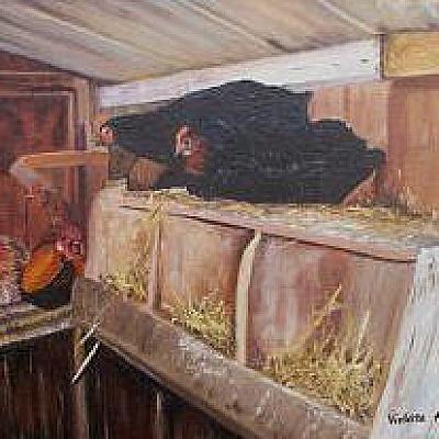 Les poules de Mamichette